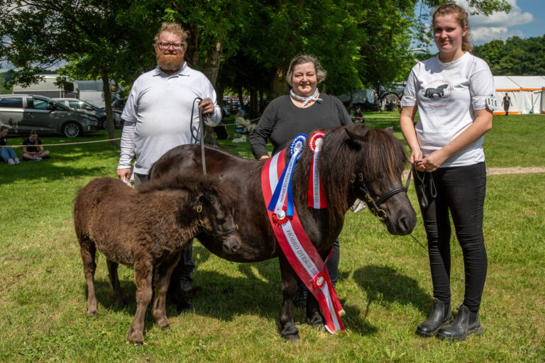 Hobro Dyrskue 2024- årets hest