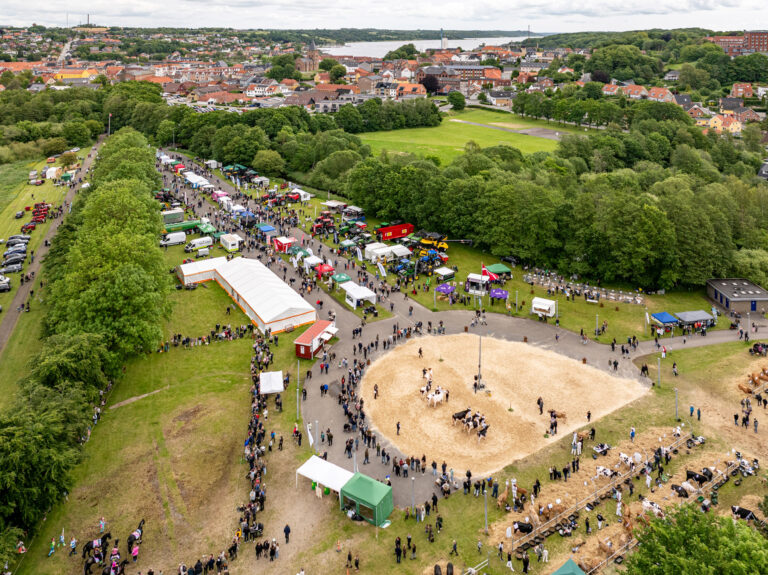 A -photo- Dyrskuepladsen med havnen i baggrunden- Drone photo